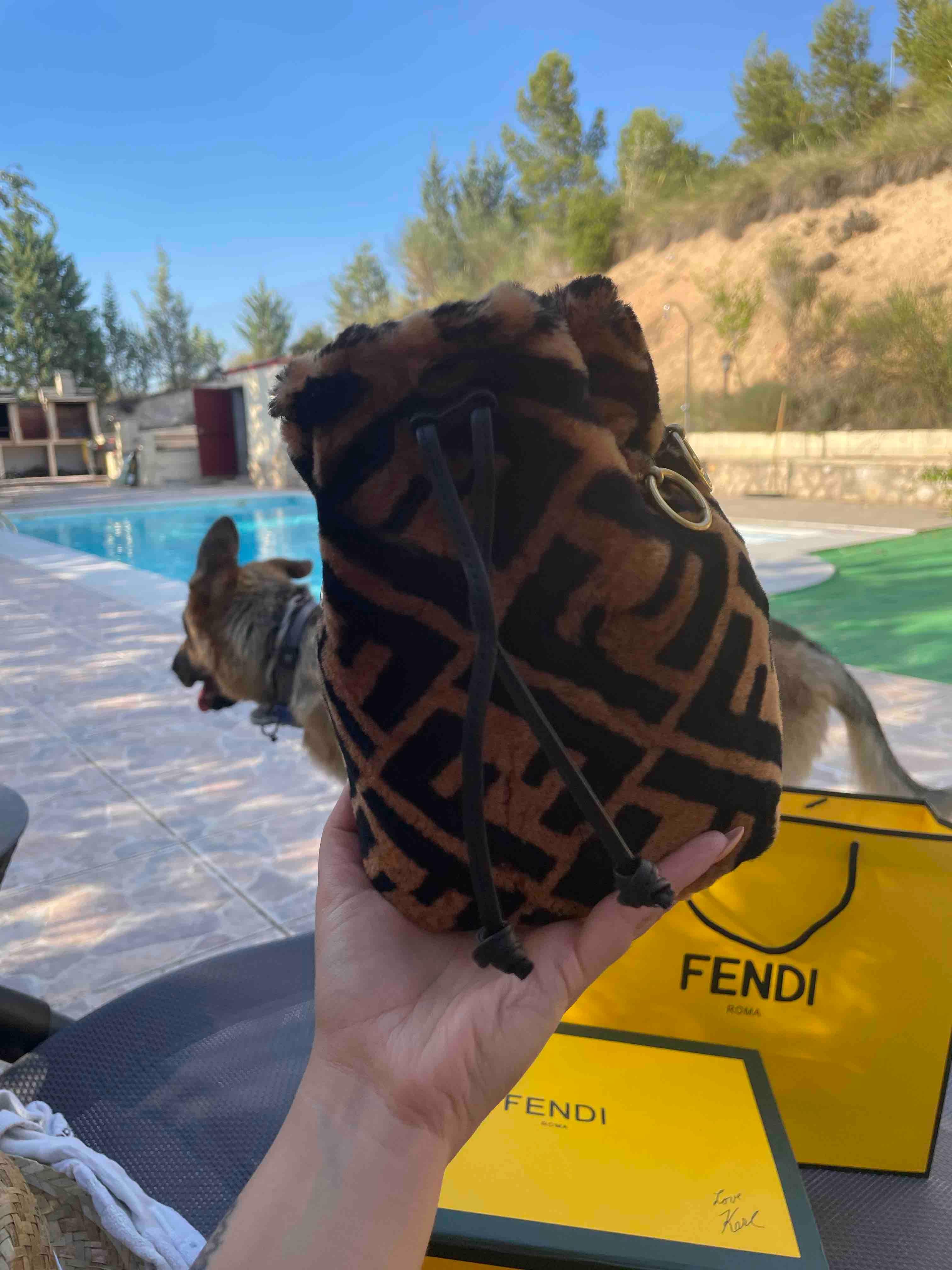 Bolso mon tresor fendi — foto 3 de 6