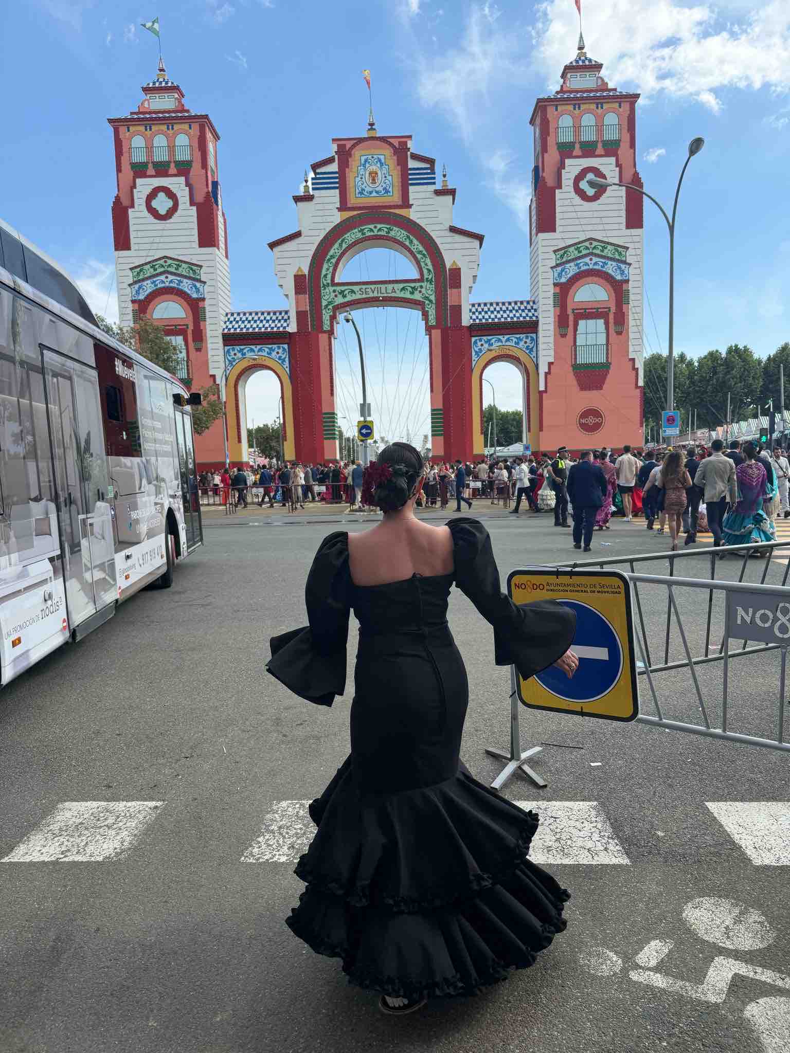 Alquilo mi traje de flamenca sibelina — foto 6 de 6