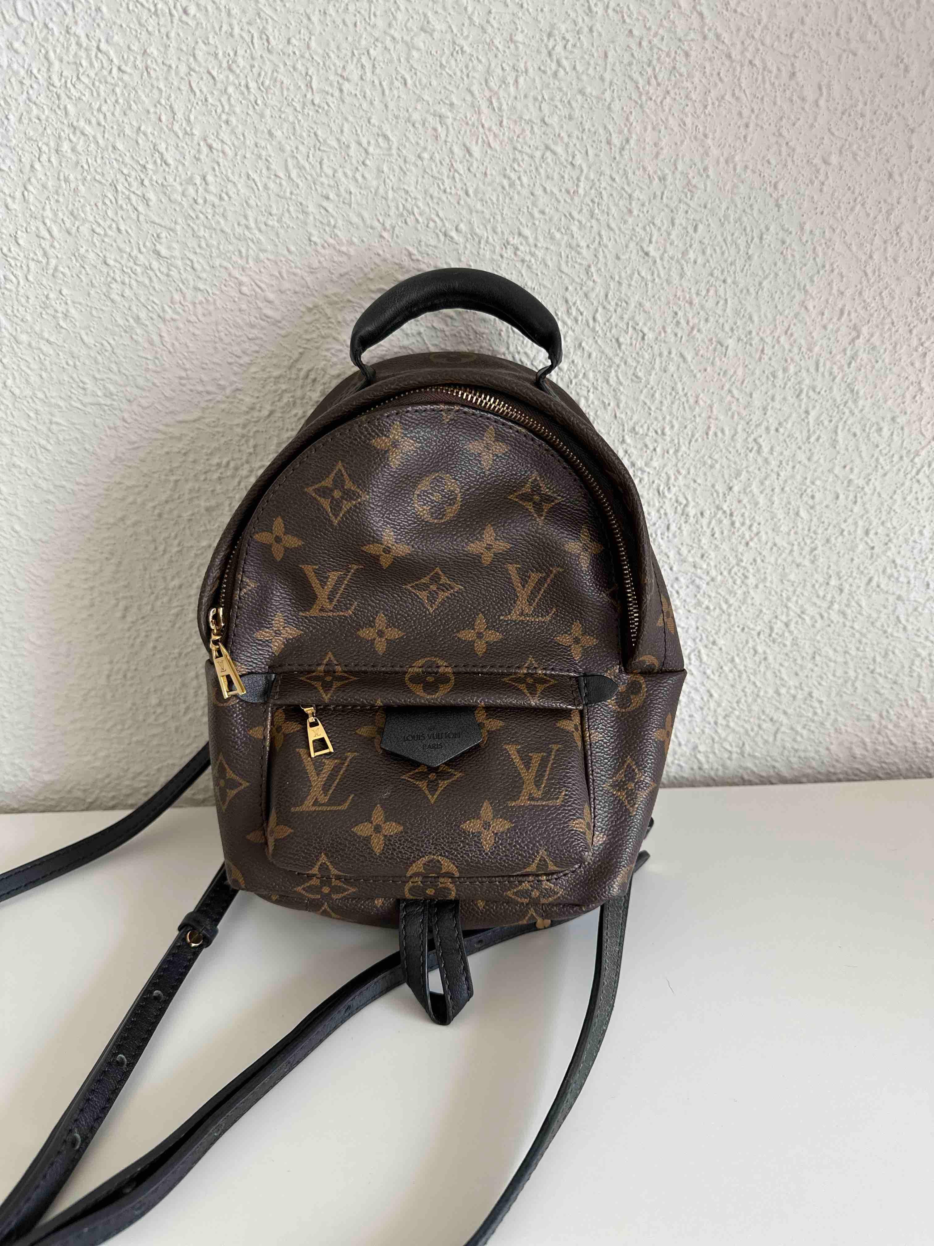 Louis Vuitton Backpack — foto 1 de 4